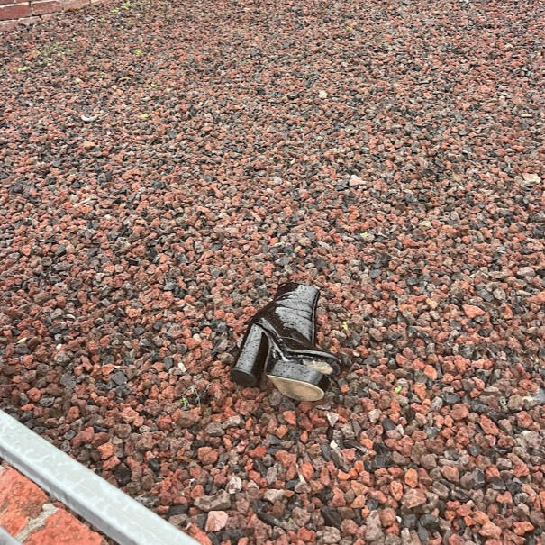 some randoms front yard