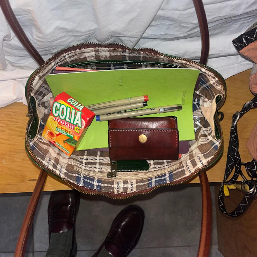 the handbag of my more elegant self